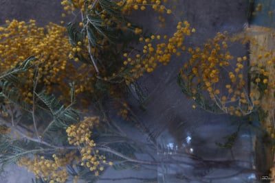 ymm5ogringewotuyyjdknwyynjy0yzdkogjiyjrlntyxytvjn2jky2nkzmflymzkzdgzmtmwowjjmte0zmvloasm-filters_2-400-1111160