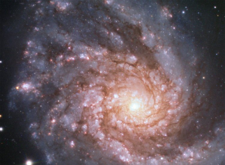 nwzizgzmody0nwmzodyyzjeymwuyymi4zdg2ota4oddjmjexmdi2ntg0ztdiotu0n2vhmjfjnjc2njc5njhlma-6464127