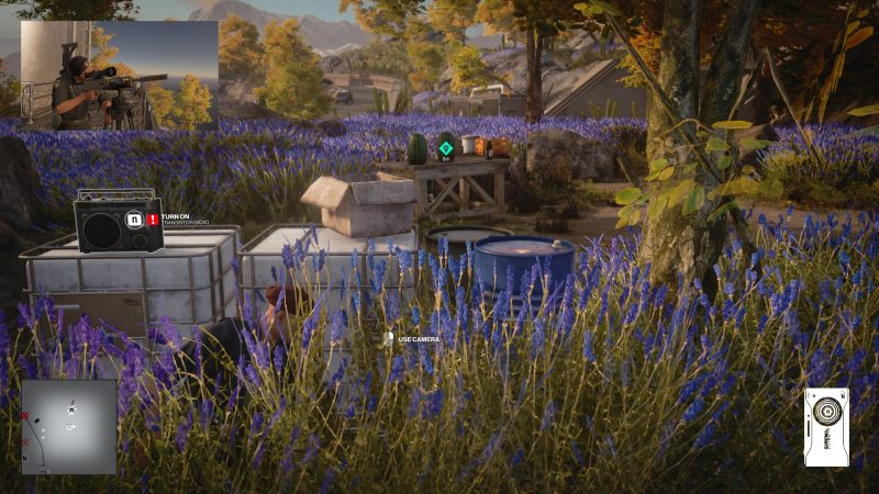 Этот арбуз слишком много знает…