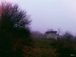 yzu0y2q1ytbmmjixnwmxztc0ymi5y2q1zdq3mwiwowrjnwvhy2y3zwu1ytizmwm3ndiynzg1m2y5mtjmyjhkmgsm-filter_1-265-7292401