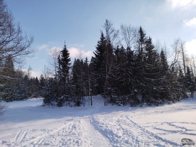 ndcxy2rmyzyxota0zdg0ywjinti3mmq4otqzmwi5ngnlytjimtrlmdawytc3ztczzjgwn2q0ndvmodljndyxygsm-12_3-400-7684358