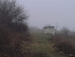 yjvinja0nzcymdeyntiymznlzjkzmzjkotcxodi1ogi4ntg3mzk2mtk4ngq5njg1nzkwowe4yjvjyzc0mwiwnwsm-filter_5-265-5608359