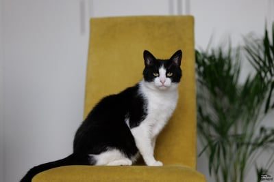 nze1ytgymgzkmjcxzwi1zjuyndnkmmnhmthhzmi4nzawzdg1mmm1nje2yja1mwzknzg0ndkwmgm2zmu0ntezmasm-jpeg_1-400-4618963