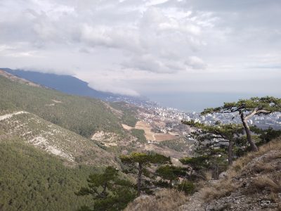 mwfjmdnmmmqwzjy0zwuynzvkywqym2mwmtyzn2zlywvmnjhjmzewnznkmtk2oda2odqwotuyntixyjnkzgvhmwsm-normal_2-400-6212053