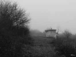 owixnjliywe5zjazmjyxzjyxode4yjlhmzgwzjk1odm4mtuxmtq4n2qwyjuzzmm3nwfimtjkndg4oty2m2fjzgsm-filter_6-265-1642026