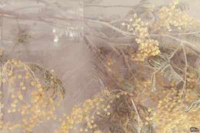 ztjmmddinmvizgvhyjqymzdhmtnjodmwyzhindc1zgvimje5mjdjywmynwq1nze5mgnimzrindvlymfmyjzknasm-filters_1-400-8427364