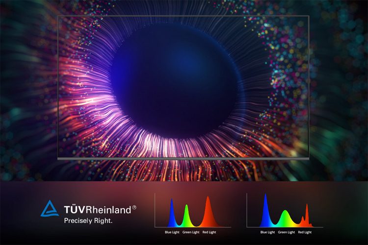mmqwogfhzgvmzdyyndc3m2vkotqzmgzmmwiyntg2nzk5ywqxmtm1yzi5otewytawnjuzogm5nmqzyja3nzgxywreal3-2058750