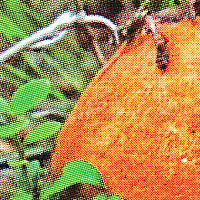 zdy1nzrlzmq4ngm0ntrmzmmwzdu0mde1nwfkndvkzji3mzlkogzizmnizdu5ownimziyzdyynjjmmzqyntk0nwsm-crop5_2-400-6020934