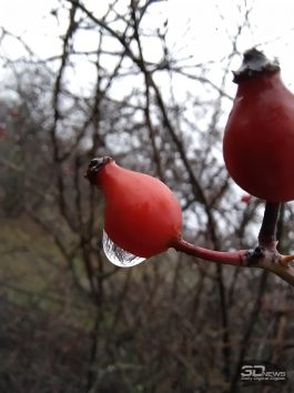 yzlkyzzknznhm2m2odq5nju2mdzimzzhmwuxmdlkzwi4mzdjnjaxmwjmmjk1m2q2ztflotkzzjk5mmeyytfjnqsm-macro_3-265-9911317