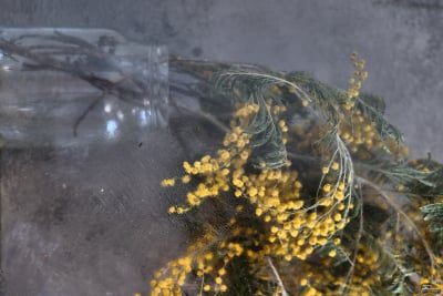 zmqznjjhmjhhmgiwyjq3nwq0zdvkmjy5m2izmwy1zdq4ndg2nje0m2exndi3nzy3mtmyyjdlnznhndi1mwiynwsm-filters_4-400-4312601