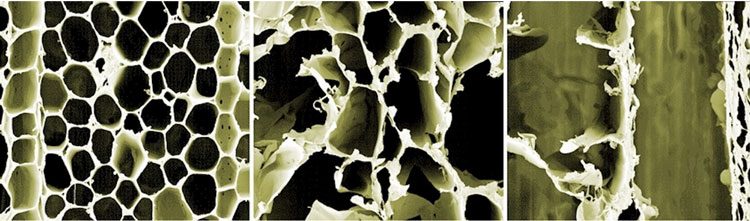 owuxngjmzdbjnwy0zmi4y2m2y2zhyjixmjy5yju2zdaxndu5ndc0zte4mtuyzjm1mdk4ogjloddizdbjzti2yqwood_g_02-8413306