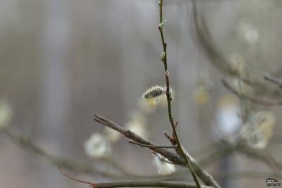 m2iwmmrhowzinge1mty3ngmznzeyztrjymzmnzzlndc2ymmxzdqyodaxmgu1ytc1mtcxzju2nmixodriyti3nasm-post_1-400-9209294