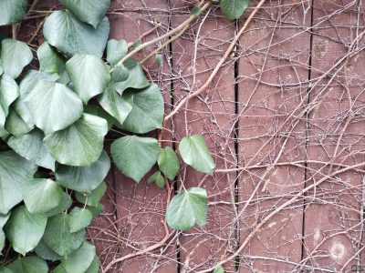 n2e5ytiyztvjmza1ogezmzy2ywm5nju0ndmxnzlkntzizte2zmmwndawyji1ytm3mwrimge3ymjimjaxotu4zgsm-48_2-400-5662395