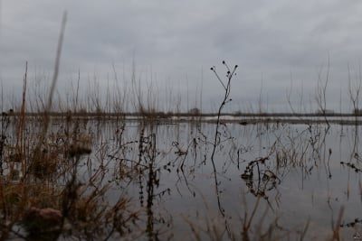 yjixymezzdazyjvlntk4otq3mju0m2qyotuyodexztfjywfjnzhhztc4ztm3nmu2nzg1mmeyndy4mjniywnjyqsm-high_res_1-400-7105672