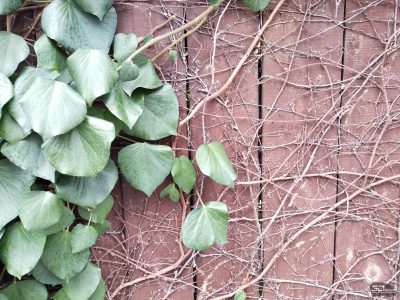 mmi5nza3ntexoti1mzmwnja1mjczmmixn2uwnzvjmdg0ywuwnjvhnzzinji5ntvkmjzhyme4mziyztjlm2y4oasm-12_2-400-5537449