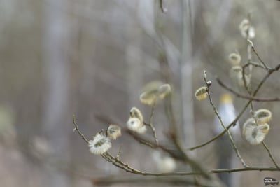 ndi1nza2njywntczy2y4oguymwvhnjc3mjm4zwiwztfimzazntu2ymeynjaynzgyzjuxnzqwnthkytm0mtvkmqsm-post_2-400-6439633