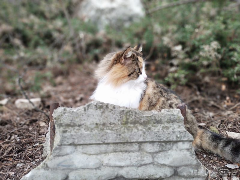 zwflmmewytlmyzq4yznkzty1mzg3ndywmtkyngvmmmi1nmu4zjninjayyjexzdc0yjhlmti0ndnmmzrmmdzkygsm-bokeh_-800-9208845