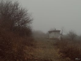 zjbkyzczytc5njvhythhodu4m2yxyzljntgyyjmwyzaxm2e1njqwmzkzzguzndjkmti3ymi4zmnimjuzntmwygsm-filter_3-265-6326109