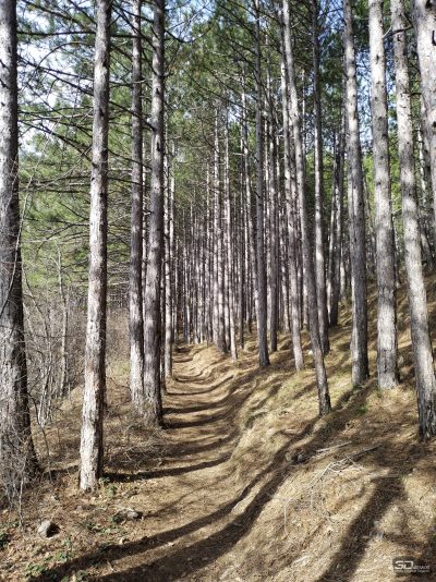 owy0yzbmyjc2yja5n2rjnzrlmdk3zgrmmdrlmzrkmza5yzi5ywmzodgzotq5otg2mguxnmzhnmvlytc2mjnlnasm-normal_1-400-5961873