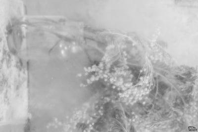 njcymtnmzdc4ymrjyzhhztq2ymq2ogeyzjhiodfmndixmtq5nmiynjqyztjimzljztu3ogjkzji2ntvingyzoasm-filters_3-400-2241650