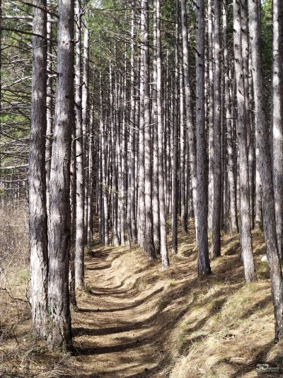 y2m3mze4owm0mjk4nza3ntllmjkxzgzmotfjzja4ogywnmzhy2vlzjjlztm1mmuxn2uznjnhy2m2ztm1ntc0ngsm-zoom_1-400-7535050