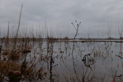 nzlkmdq1zja2mze2n2fimmjlntczoguwztfhyzm0ytkwngu1ntyxyze4yzuwmdhjmzg5ngjimwm4otkyn2i0yqsm-high_res_2-400-9197336