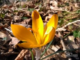 njvlyzu1m2nhnwfjyjyxmdi5ntk5zjc5yzu1zwe3nzljzmy2nmq5ndkynmnjzwjky2rjmzg0otawzwu5mzljmwsm-macro_1-265-7628169