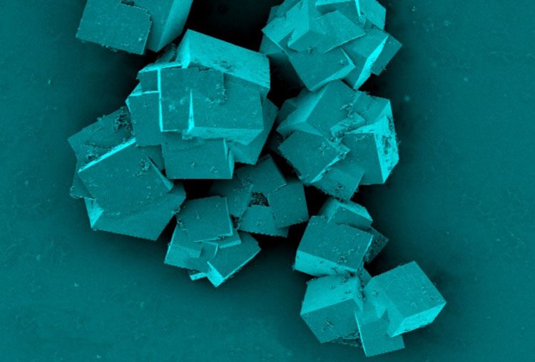 mtu0ogvkymmxngqwzduxzddjzjzjztk3nzdkmwqxodk2yjm4ntzhotq4ywe3zge3nwrjyzq1mzkyzjnmmjzlza-6402164