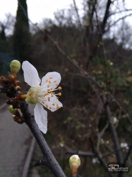 odhlywvknde0zjk0otrmzmjjnzi5owewzjc2otk5nzlmzjezm2q0ytixmdi3ytvmowy0nge1zmjhnjbinmnjmasm-macro_2-265-7794191