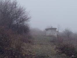 zgq4mda2njm2m2q4mthhndg0m2nlndq0zdcwodu0mmnmy2njntvmzmixzgy0njyzmzblzjjmzgqxntvinzljngsm-filter_4-265-5206161