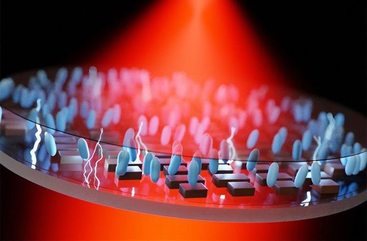 mjbjnjbiy2m1zjnjzwq4ztuxyzzjzjbmmgi0ndc0n2zkmty0ngiyzti4mdm3yjhjmde1ngnhnjfmyjflzmu4oq-4100835